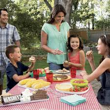 Good Ol' American Picinic: Celebrating LitNet's 35th Birthday!